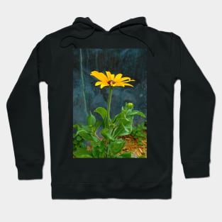 Black Eyed Susan Solo Hoodie